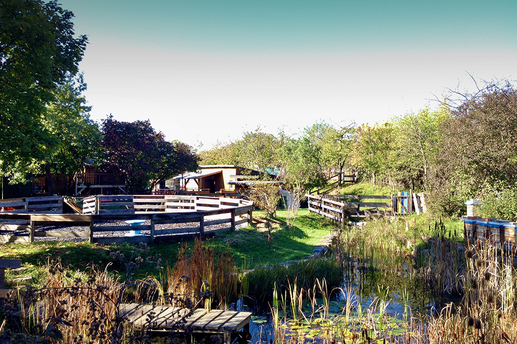 Jugendfarm Weilimdorf. Foto: Goede