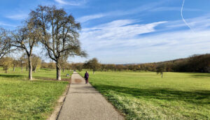 die Tachenwiesen zwischen Weilimdorf und Zuffenhausen