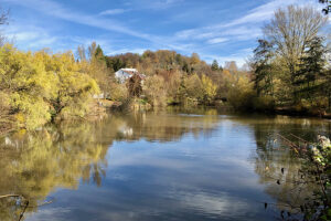 Lindenbachsee Weilimdorf