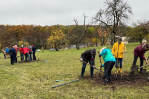 Baumpflanzaktion im Naturschutzgebiet Greutterwald — Weilimdorfs GRÜNE packen mit an