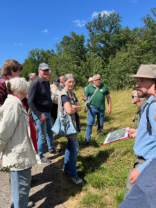 Zum Tag der Artenvielfalt: Umweltamt-Exkursion Greutterwald, Foto: BERG