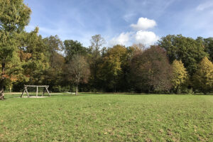 Spiel- und Sportwiese im Fasanengarten